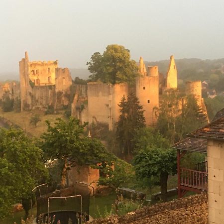Chez Fred Avec Vue Sur Le Chateau Angles-sur-l'Anglin Ngoại thất bức ảnh